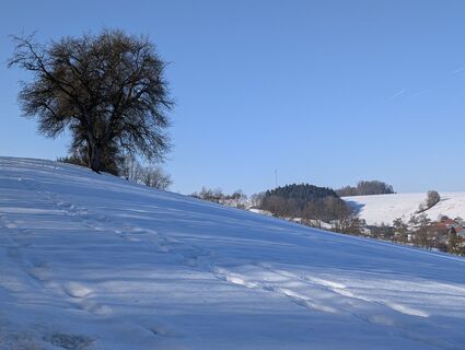 Foto von Stefan Bock entlang der Tour