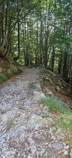 Photo de nadia ghilardi le long du parcours