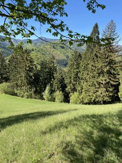 Foto von Erika Barth entlang der Tour