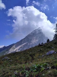Foto da Kriskind lungo il tour