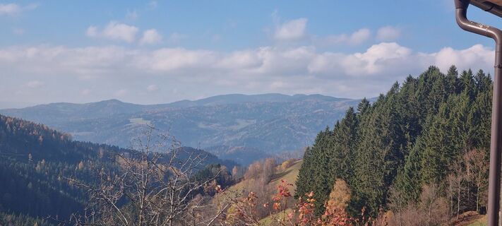 Foto von Www Dominik Henn 20 entlang der Tour