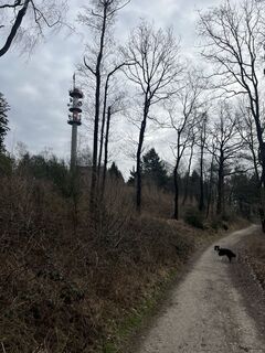 Foto de Martin Pohl a lo largo del recorrido