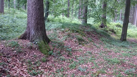 Landwehr entlang der Themenroute