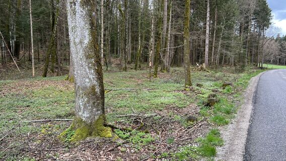 Zdjęcie z Kurt Hackenbeck wzdłuż trasy