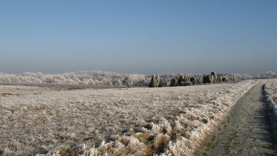 winterlandschaft-lueneburger-heide