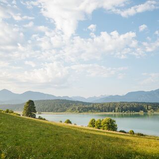 Turnersee, Nordufer