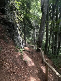 Foto von Alex Stevels entlang der Tour