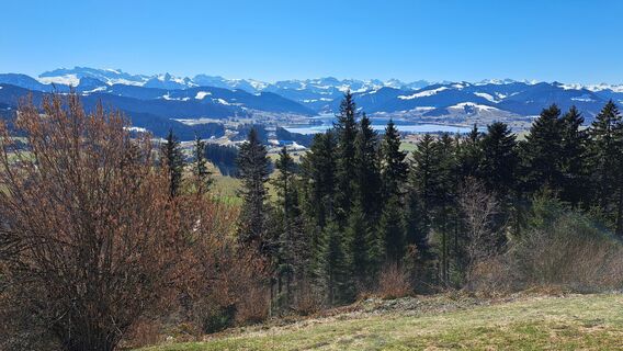 Fotografie de la Otto Wernli de-a lungul turului