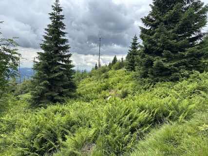 Fotó a Dani Geiger / Natur_erleben_dg honlapról a túra során