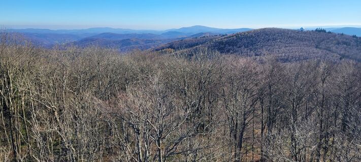 Fotografia z Werner Spitzer 1 na trase