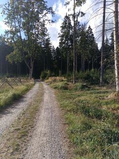 Photo de Tom (tommyp1608) le long du parcours