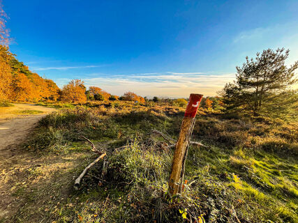 Wahner Heide