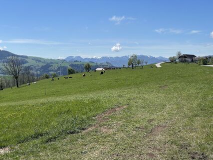 Foto von Martino68 entlang der Tour