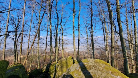 Photo de Anita Lunzer 1 le long du parcours
