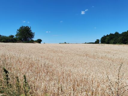 Photo de Bernd le long du parcours