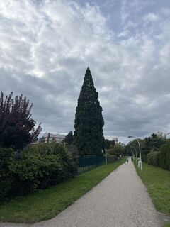 Photo de Maria Krysachenko le long du parcours