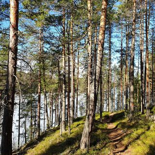 Orrainpolku