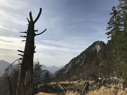 Foto från Daniel Reichsthaler under resans gång