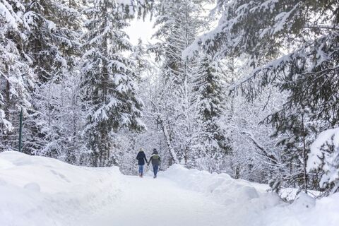 Winterwandern PillerseeTal © defrancesco (152)_resize.jpg