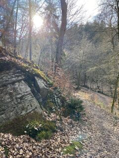 Fotografia z Brigitte Mittendorf na trase