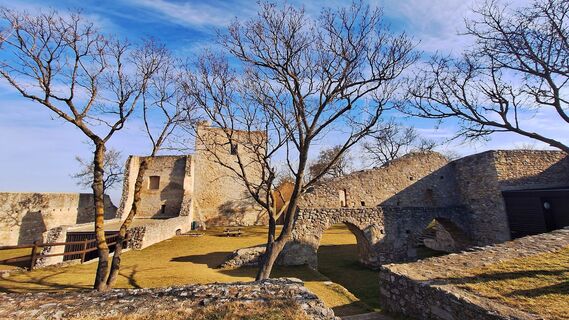 Foto van Regina Fleischmann langs de tour
