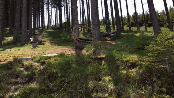 Foto fra Lomalinda underveis på turen