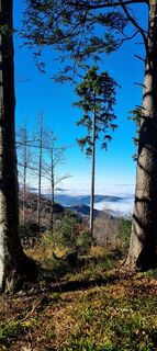 Foto von Gabi G entlang der Tour