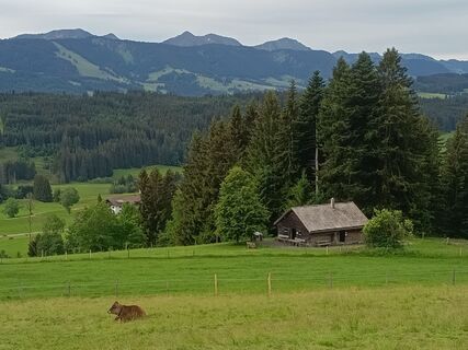 Foto von Bettina Miller 1 entlang der Tour