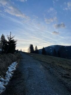 Ausblick