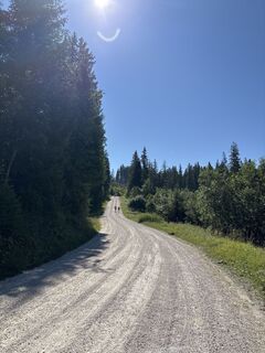 Foto von Heinz Sperl entlang der Tour