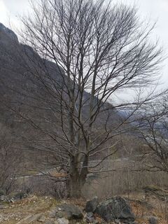 Photo de Guido Lovati le long du parcours
