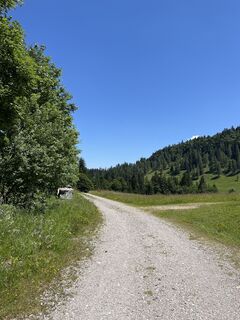 Fotografija s spletne strani Heinz Sperl na poti