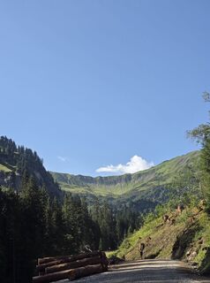 Photo de Anja Carraß le long du parcours