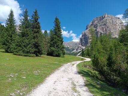 Foto von Ins Umulus entlang der Tour