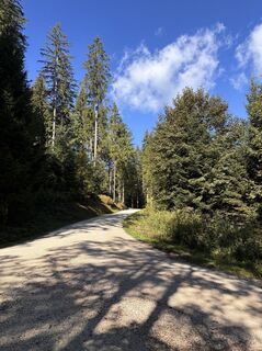 Foto von Heinz Sperl entlang der Tour