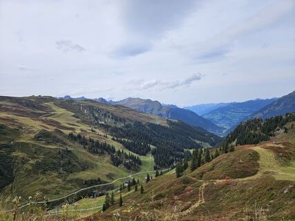 Fotografija s spletne strani Carla Steegs na poti