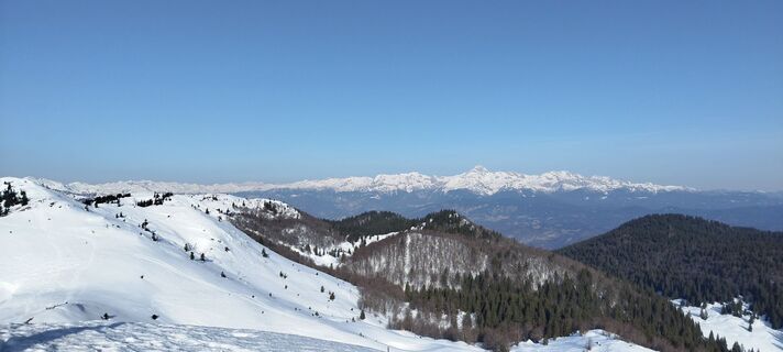 Fotografija s spletne strani veronika bozic na poti