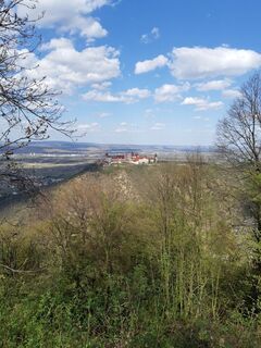 Zemljevid