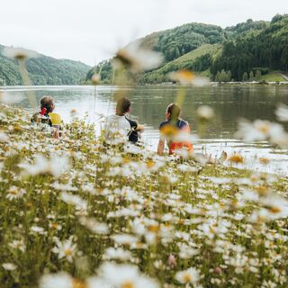 Donau in Obermühl, St. Martin