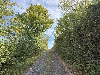 Fotografia z Norbert Herbig na trase