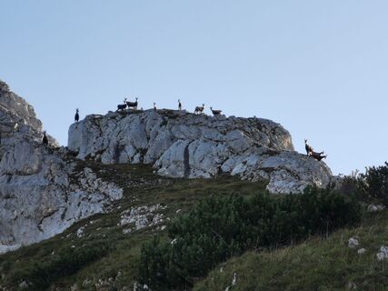 Фото с сайта Mario Kunze во время экскурсии