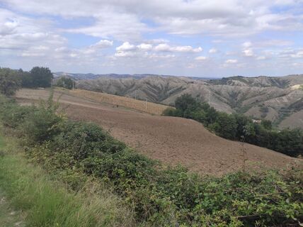 Photo de Brigitte Scheuffele le long du parcours