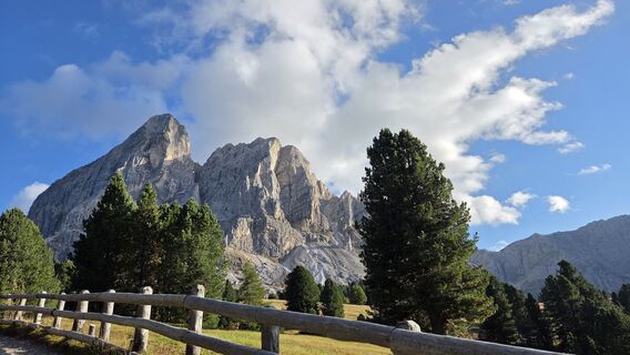 Foto da V Feurstein lungo il tour