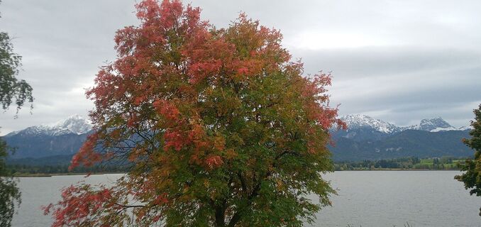 Foto von Raini entlang der Tour