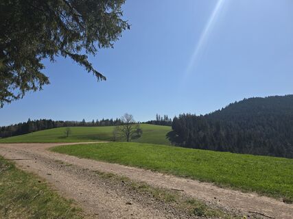 Foto von Michel Kennel entlang der Tour