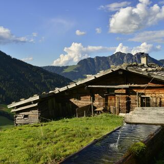 Stettauer Alm im Sommer