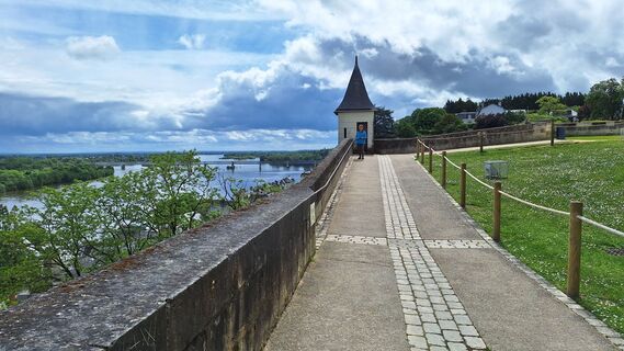 Fotografija s spletne strani Danny Verdonck na poti