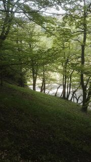 Die Wiese kurz vor dem "Vorgipfel"