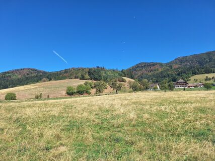 Foto von Katharina entlang der Tour