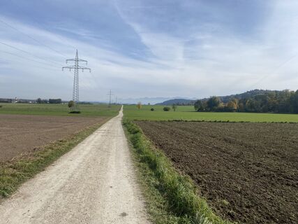 Photo de Sven Krieblin le long du parcours